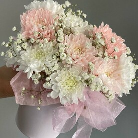 Хризантема в коробочке