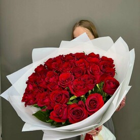 35 красных кений 60 см