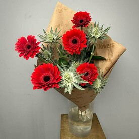 Герберы с эрингиумом