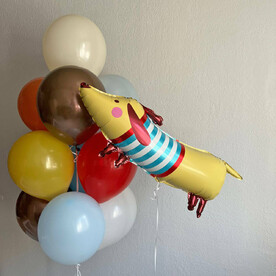 Большой набор шаров для ребенка (разноцветная собачка)