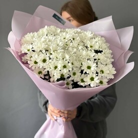 Букет из 15 кустовых хризантем