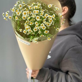 Букет Мини-ромашек