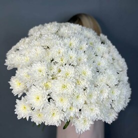 Букет из 25 кустовых хризантем белого оттенка