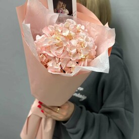 БУКЕТ-КОМПЛИМЕНТ с розовой гортензией