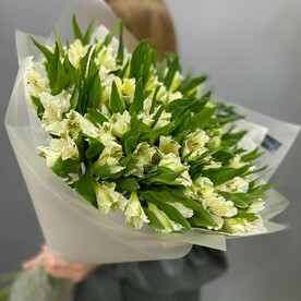 ✨ХИТ СЕЗОНА моно 21 белая альстромерия✨