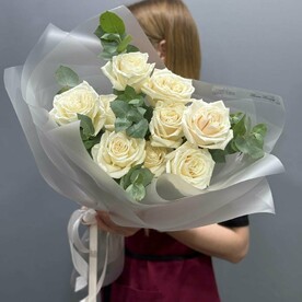 Роза сорта Плея бланка