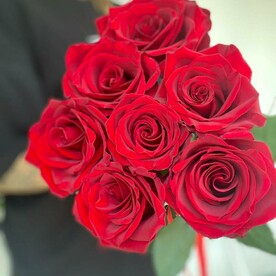 7 бордовых под лентой