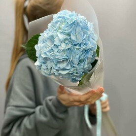 Голубая гортензия в оформлении