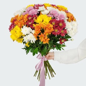 Букет 25 кустовых хризантем микс