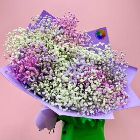 Букет из Цветных/Белых Гипсофил