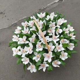 Корзина из белой орхидеи