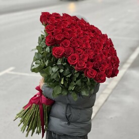 101 Метровая Роза