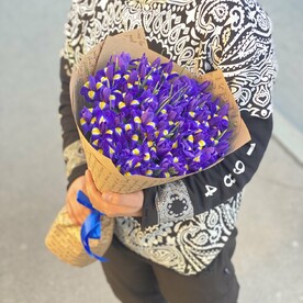 Ирис кис кис