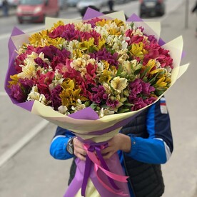 51 разноцветная альстромерия