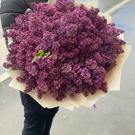 Букет из сирени