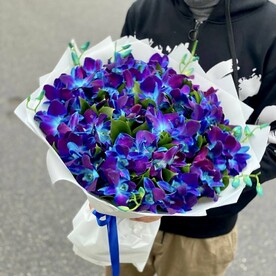 Синие орхидеи XXL