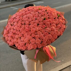 201 высокая Роза