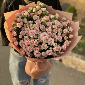 Нежная кустовая роза