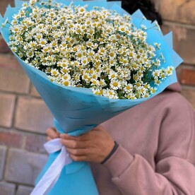 Букет из 25 ромашек