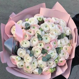 Шикарный букет из 51 ранункулуса