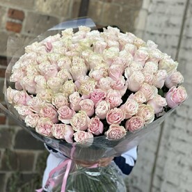 101 эквадорская роза