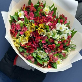 Альстромерия микс