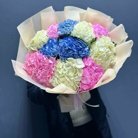 Букет разноцветных Гортензий (Колумбия)