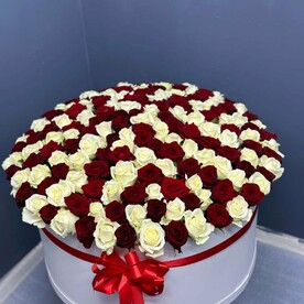 201 роза в коробке