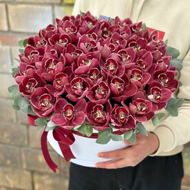 Орхидея в коробке