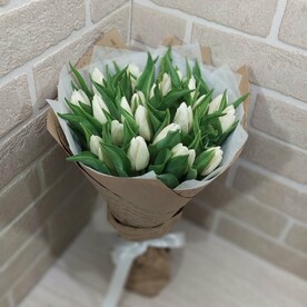 25 белых тюльпанов