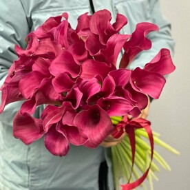 Красные каллы