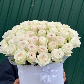 Пионовидная Роза Вайт Охара