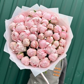 Пиономания 😍