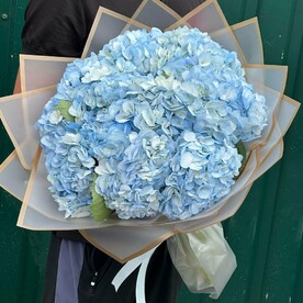 Букет гортензии
