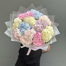 Разноцветная гортензия