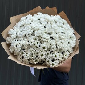 Кустовая хризантема белая