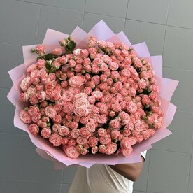 Кустовая Роза мадам бомбастик