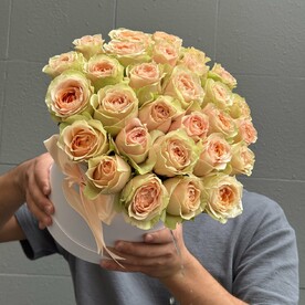 Пионовидная Роза Гравити