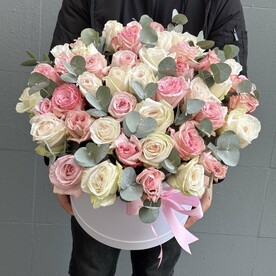 Ароматная эквадорская Роза