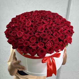 101 красная Роза в шляпной коробке