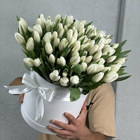 101 белый тюльпан в коробке