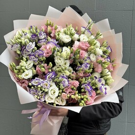 Разноцветный лизиантус