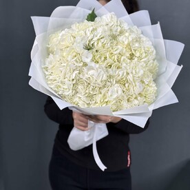 Букет из белых гортензии