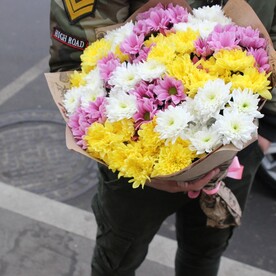 15 разноцветных хризантем