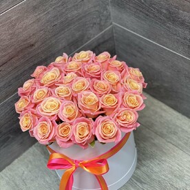 Роза мисс пигги, Коробка, Оазис