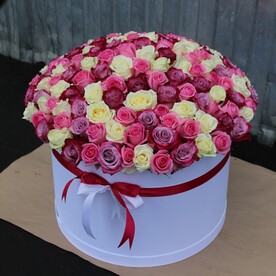 151 разноцветная роза в коробке