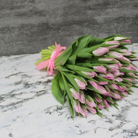 Нежно розовые тюльпаны