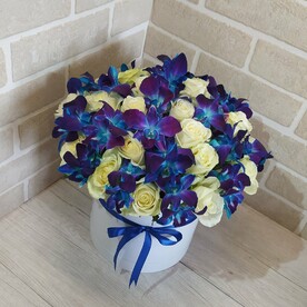 Несгораемая страсть