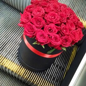 25 красная роза в коробке