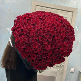 Роскошный Букет из 301 розы